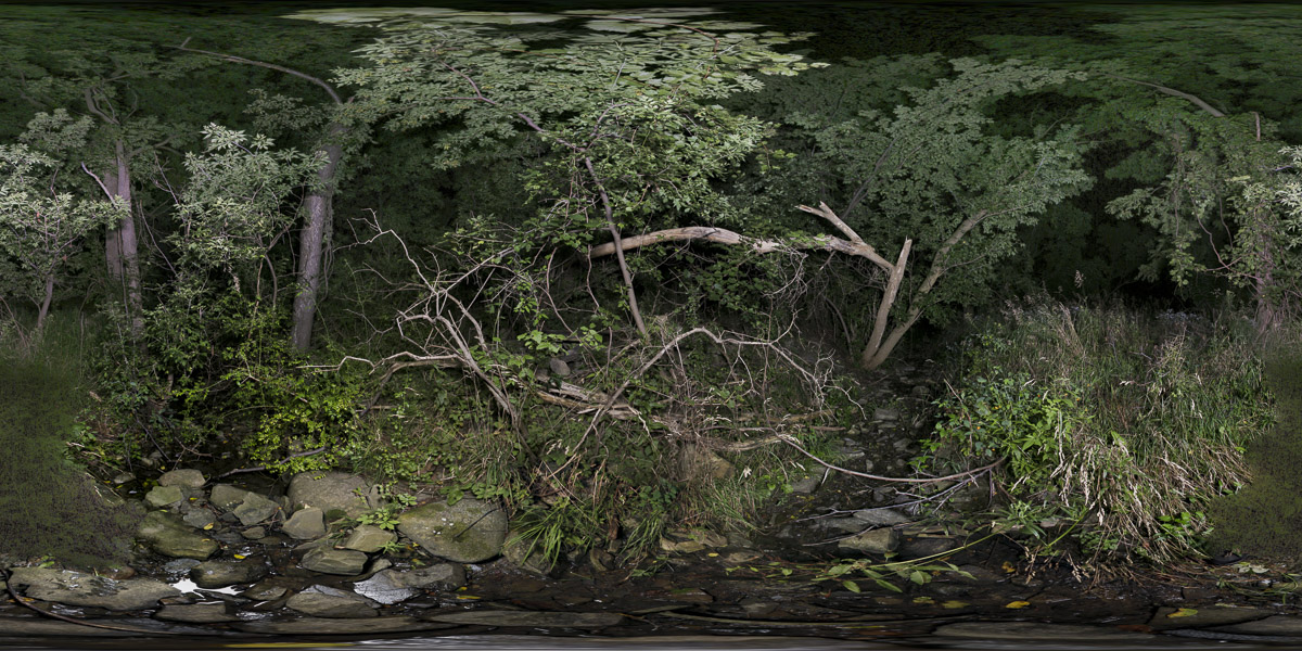 West Creek 2009-0830