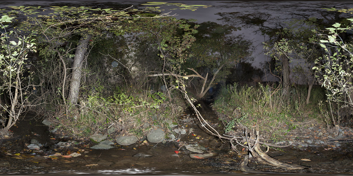 West Creek 2011-1010-A
