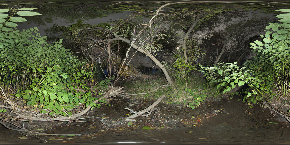 West Creek 2011-1010-C