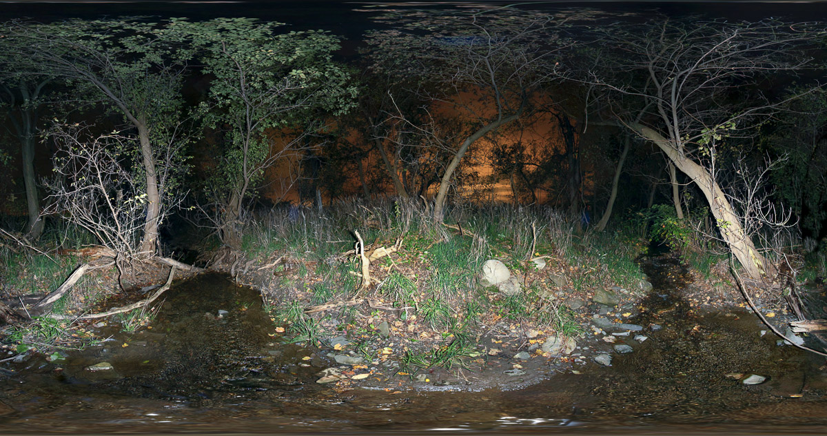 West Creek 2011-1019